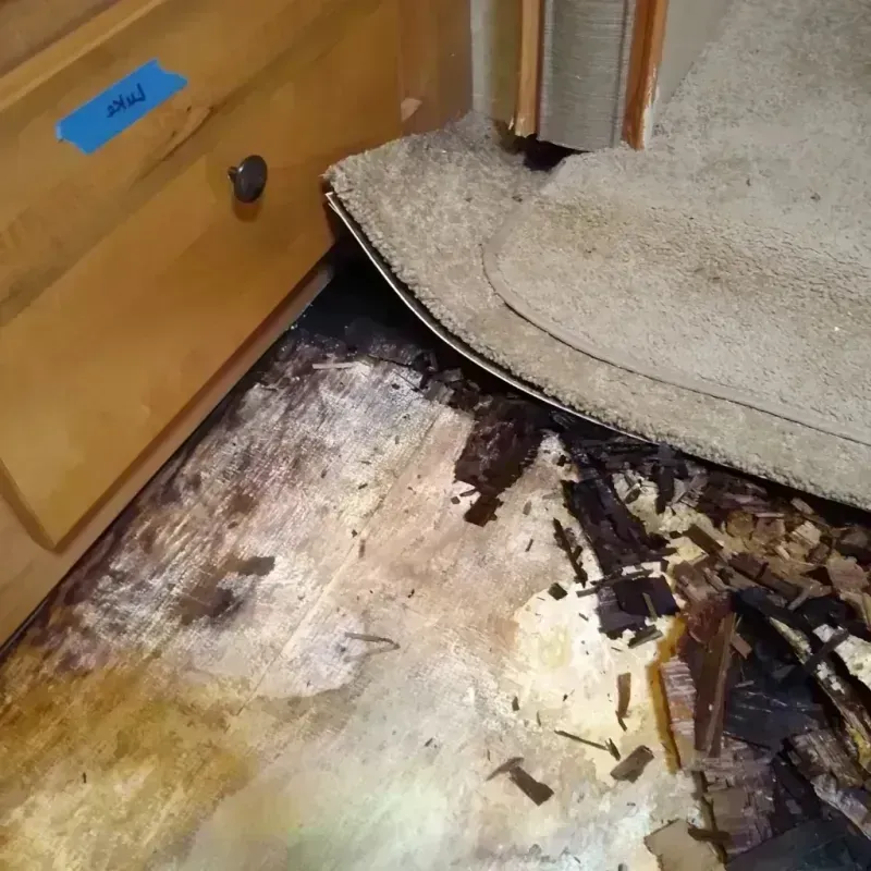 Best Wood Floor Water Damage Service in Brantley County, GA